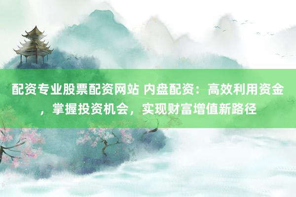 配资专业股票配资网站 内盘配资：高效利用资金，掌握投资机会，实现财富增值新路径