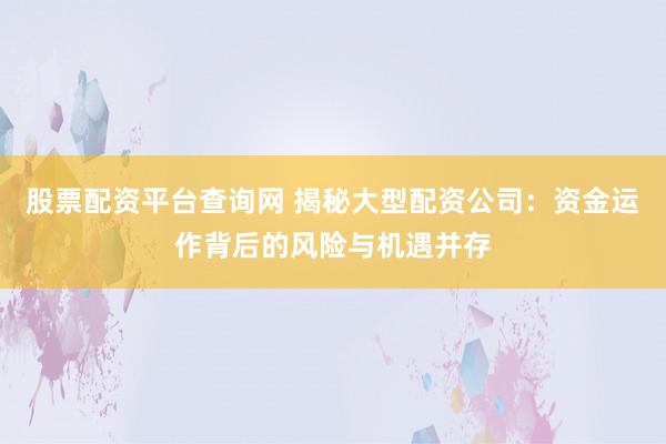 股票配资平台查询网 揭秘大型配资公司：资金运作背后的风险与机遇并存