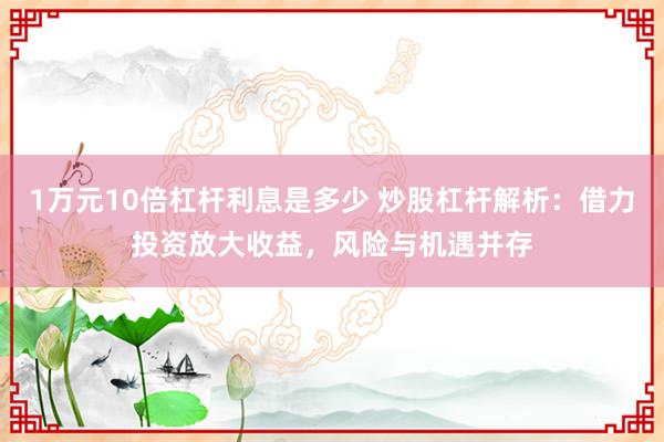 1万元10倍杠杆利息是多少 炒股杠杆解析：借力投资放大收益，风险与机遇并存