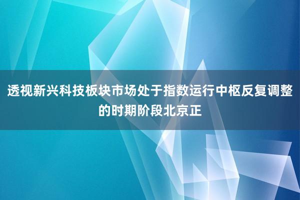 透视新兴科技板块市场处于指数运行中枢反复调整的时期阶段北京正