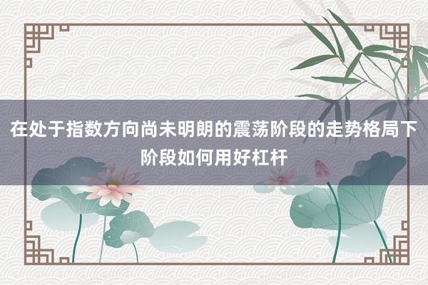 在处于指数方向尚未明朗的震荡阶段的走势格局下阶段如何用好杠杆