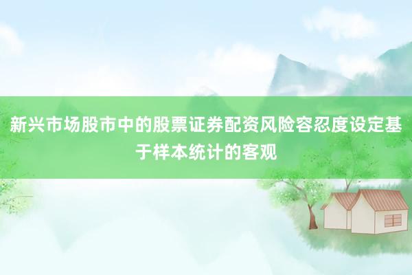 新兴市场股市中的股票证券配资风险容忍度设定基于样本统计的客观