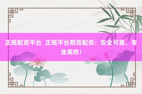 正规配资平台  正规平台期货配资：安全可靠，专业高效！