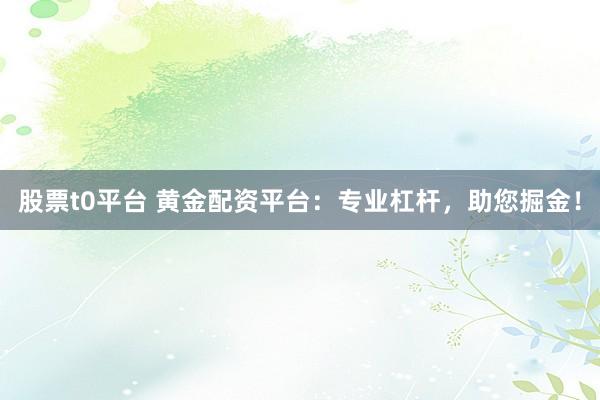 股票t0平台 黄金配资平台：专业杠杆，助您掘金！