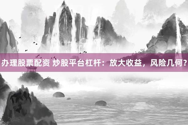 办理股票配资 炒股平台杠杆：放大收益，风险几何？